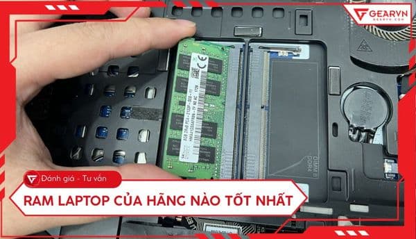 RAM laptop có hãng nào tốt nhất? Top 11 thương hiệu uy tín